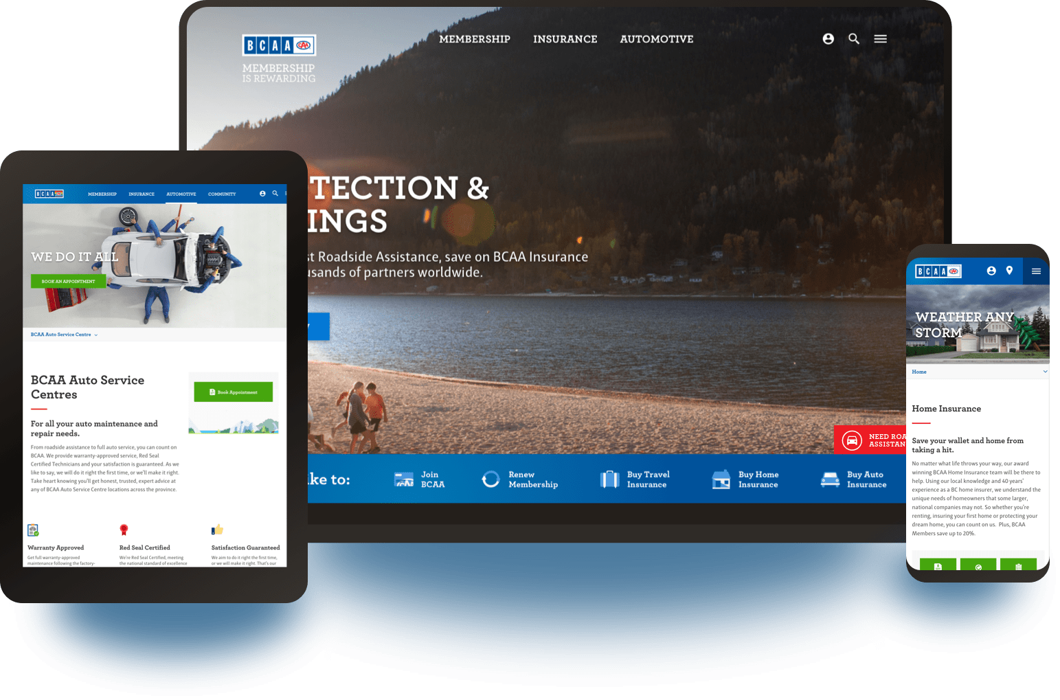 BCAA Website Mockups